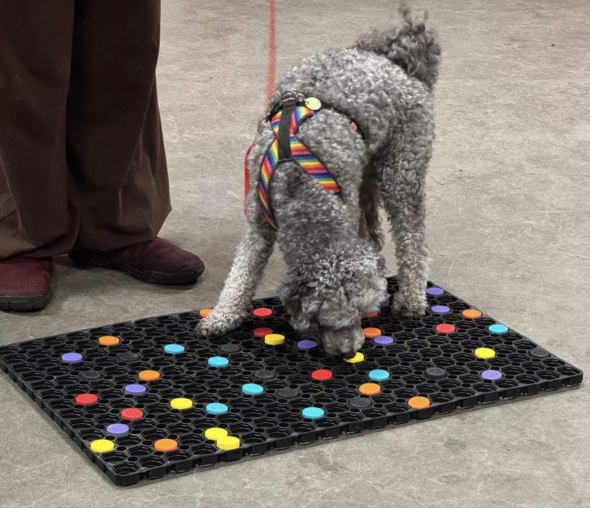 Detectie capsules - Rood - Afbeelding 3