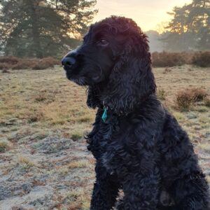 Privétraining - Pakket 3 lessen