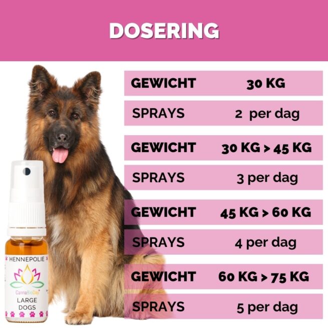 CannaBioDay Hennepolie voor grote honden - Afbeelding 5
