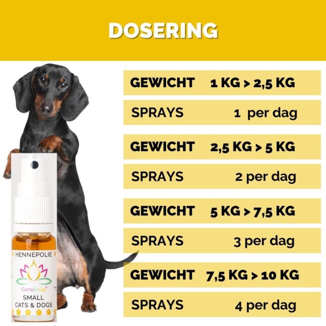 CannaBioDay Hennepolie voor kleine honden - Afbeelding 5