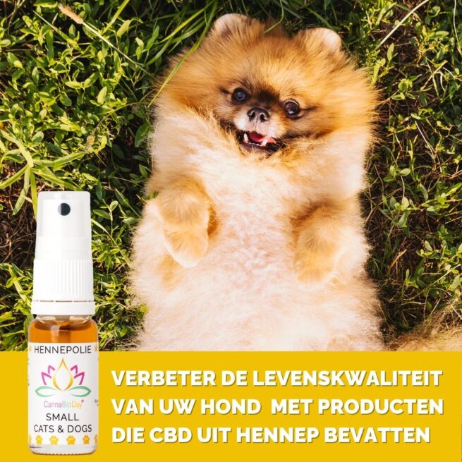 CannaBioDay Hennepolie voor kleine honden - Afbeelding 2
